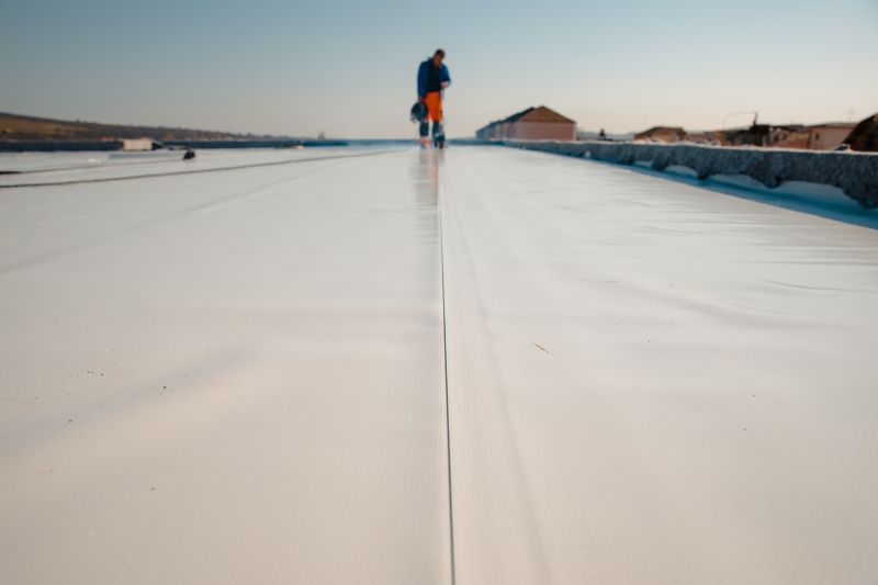 Specialized Rubber Roofing Experts